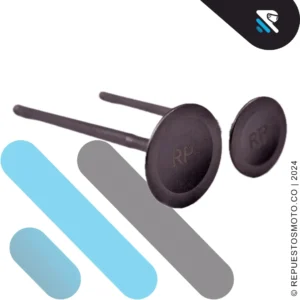 SET VALVULAS KTM DUKE 200