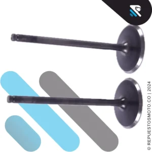 VALVULA ADMISION DOMINAR 400 UG