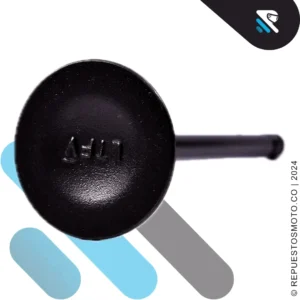 VALVULA ADMISION APACHE 180 RTR