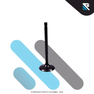 VALVULA ADMISION APACHE 180 RTR