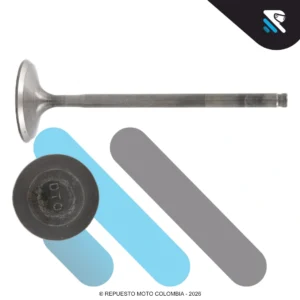 VALVULA ESCAPE DUKE 390