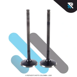 VALVULA ADMISION DOMINAR 250